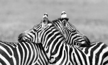 Arusha day hike