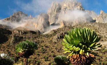 lemosho route hiking