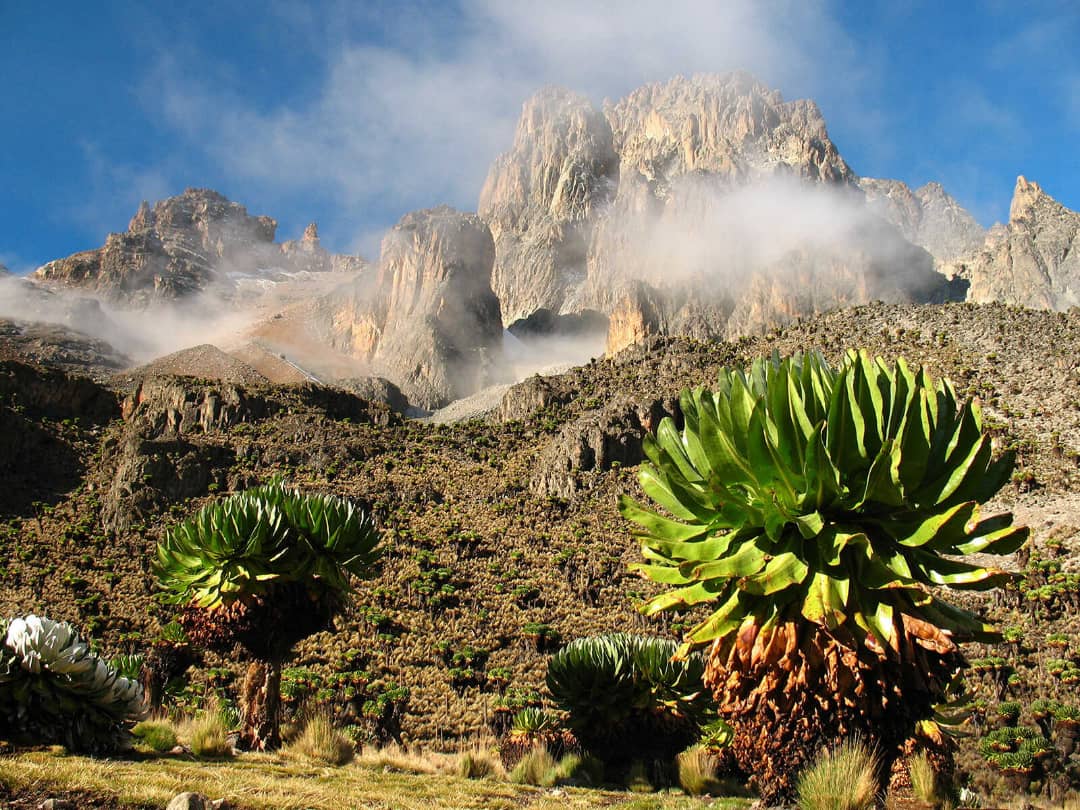 lemosho route hiking