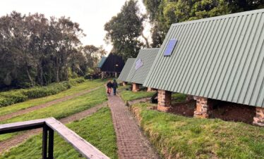 Mount Kilimanjaro Day Trips