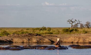 Tarangire day trip